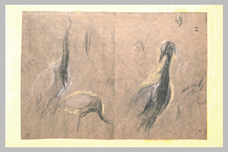 Trois études d'échassier et détails_0