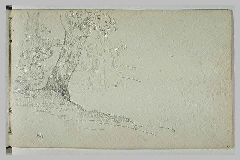 Etude d'arbre_0