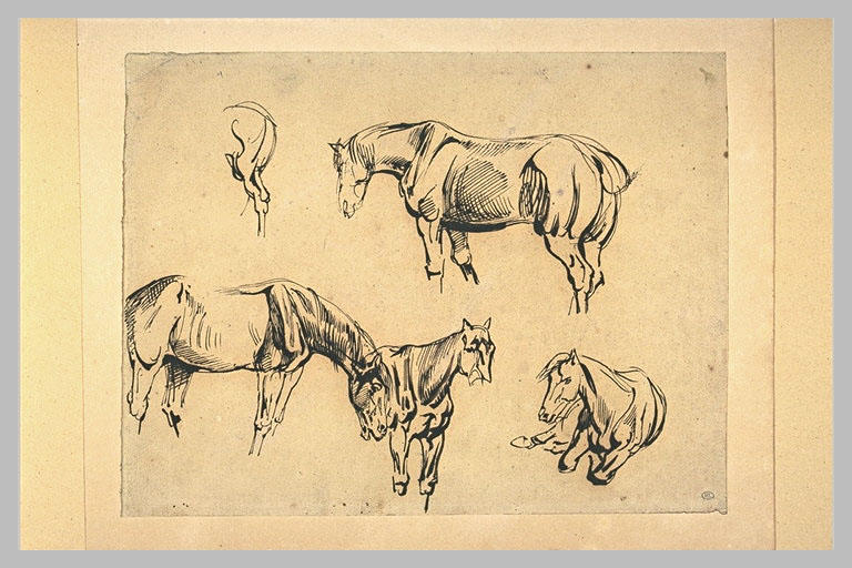 Cinq études de chevaux_0