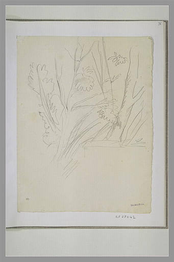 Arbres et muret_0