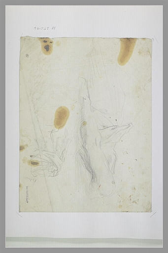 Bras et draperie d'une figure allongée_0