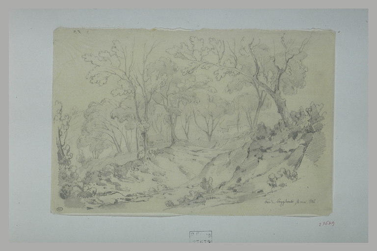 Une villa dans un bois, aux environs de Poggibonsi_0