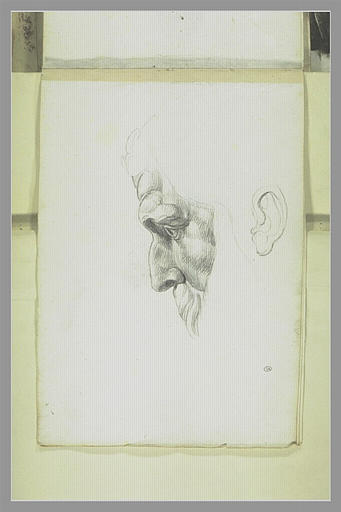 Tête d'homme de profil vers la gauche : Jupiter (?)_0
