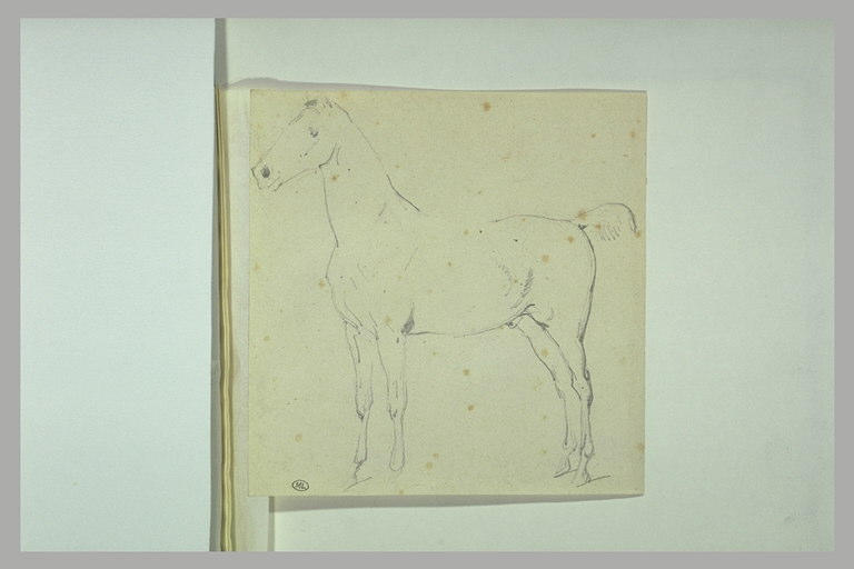 Cheval tourné vers la gauche_0