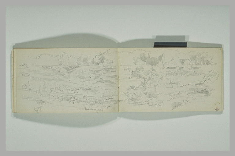 Paysage avec des arbres et bosquets_1