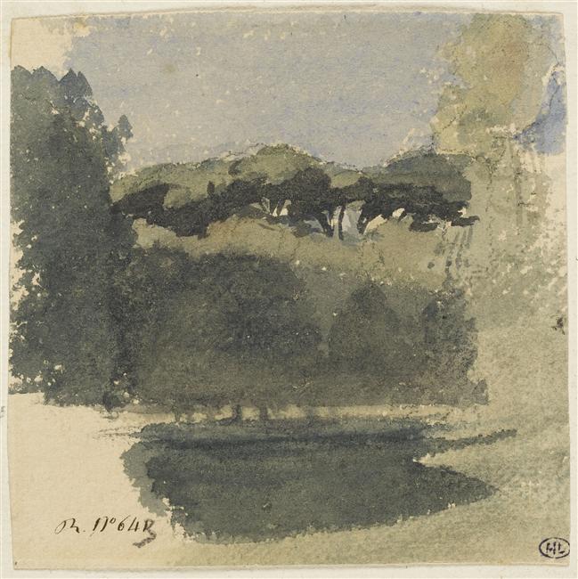 Arbres sous un ciel bleu_0