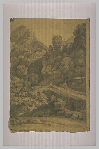 Paysage de montagnes boisé_0