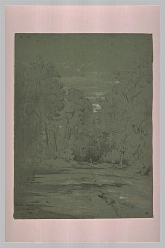 Route en forêt de Senart, près de Montgeron_0