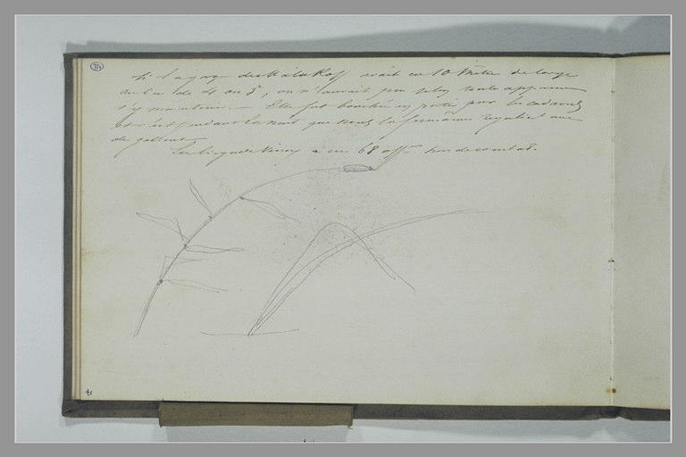 Note manuscrite ; roseaux_0
