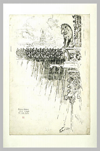 Paris, cathédrale Notre-Dame : la crête de la nef_0