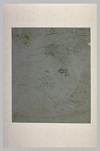 Etudes d'ornements floraux_0