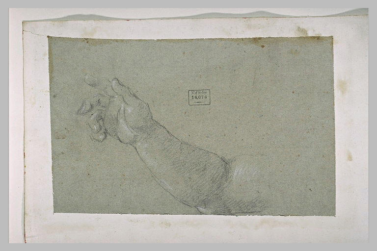 Etude de main avec l'avant-bras_0