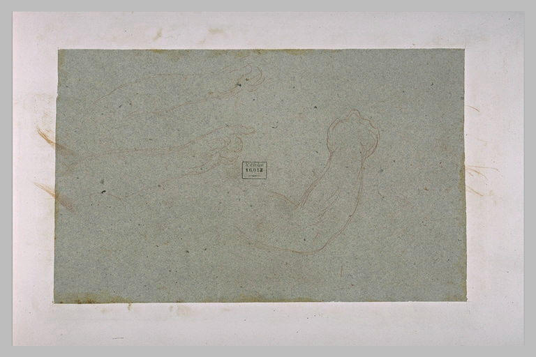 Trois bras d'hommes dans diverses positions_0