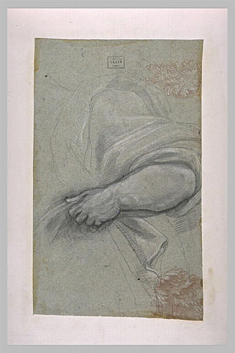 Bras gauche tenant une draperie_0