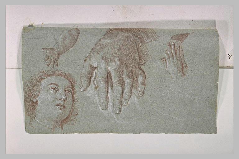 Etudes de mains et d'une tête_0