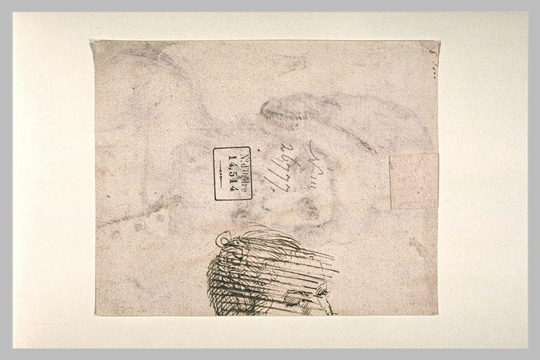 Haut d'un visage, de profil vers la droite_0