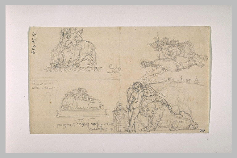 Plusieurs études pour l'Amour et le lion_0
