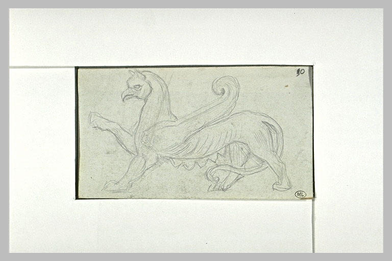 Athènes, Griffon vue de profil_0