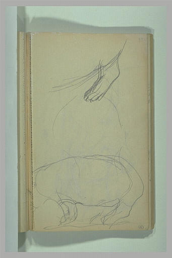 Patte arrière d'un hippopotame, et hippopotame, de profil_0