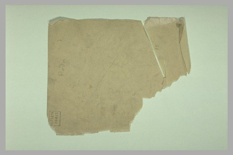 Bovidé, de profil et annotations chiffrées_0