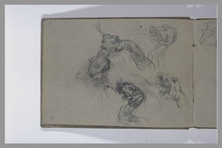 Cinq études de la tête d'un serpent ou d'un dragon_0