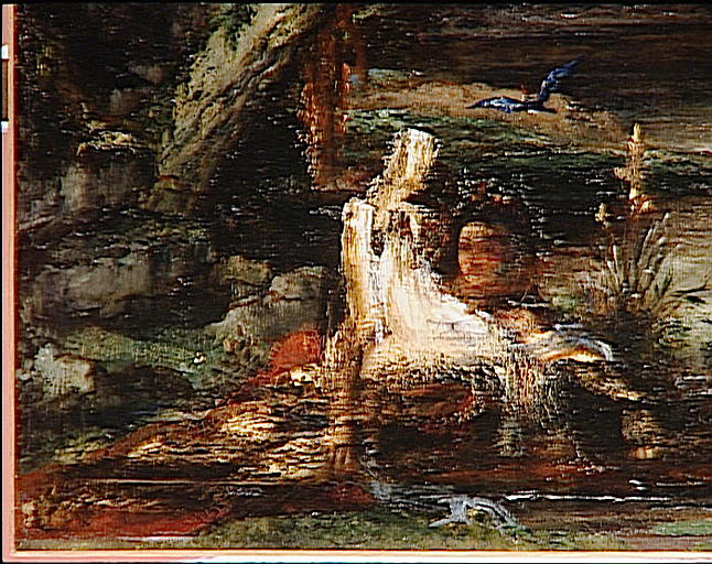 Narcisse_1