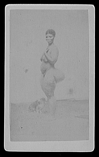 Femme hottentot de profil (Coranna)_0