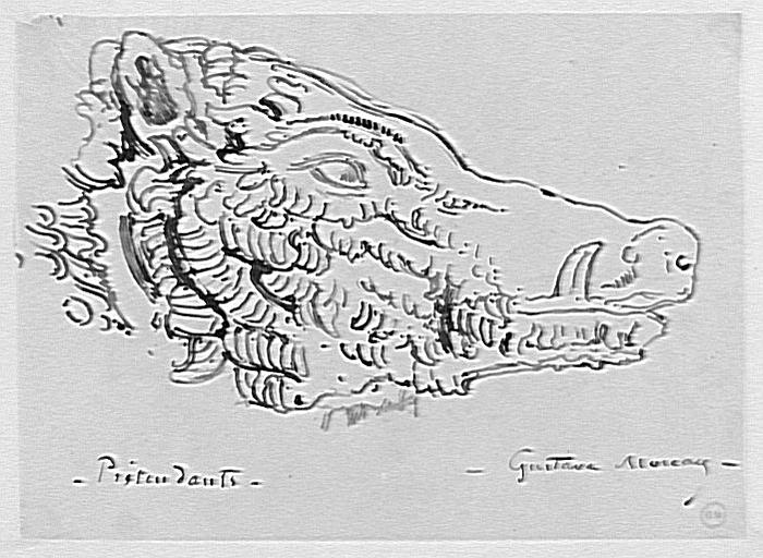 Tête de sanglier. Étude pour les Prétendants_0