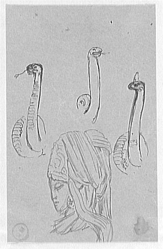Études de têtes pour Salomé et de serpents pour Hercule et l'Hydre_0
