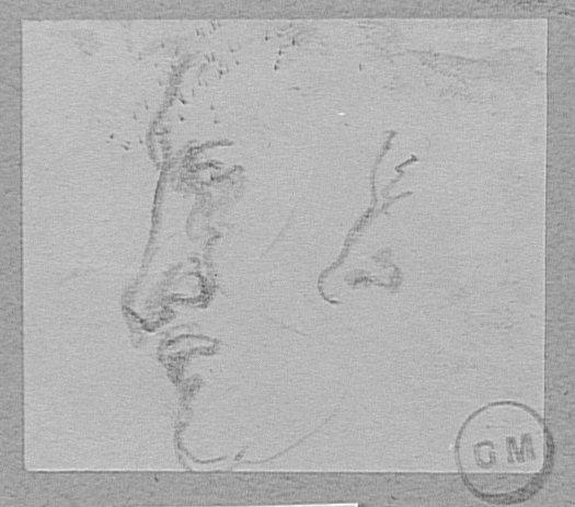 Deux études de tête et nez de profil_0
