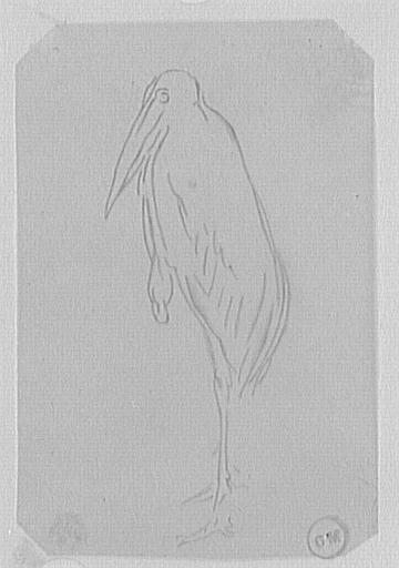 Étude de marabout_0