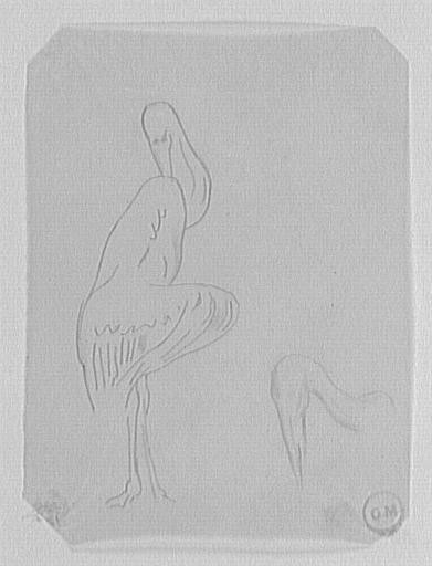 Étude de marabout_0