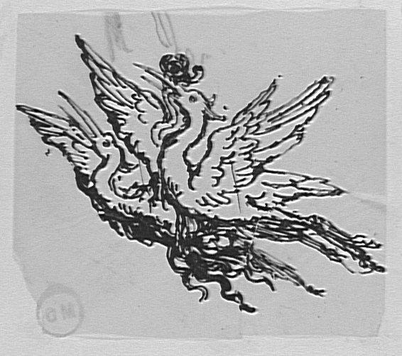 Étude de deux hérons en vol_0