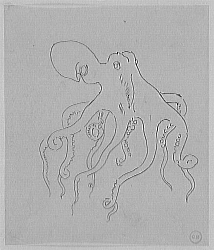 Étude de poulpe, d'après le Magasin Pittoresque_0