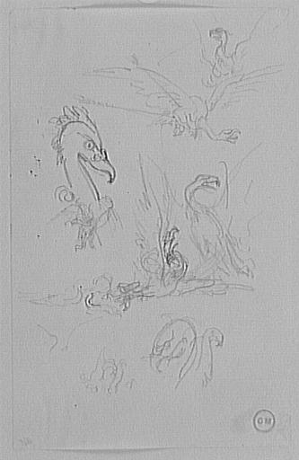 Feuille d'études de vautour_0