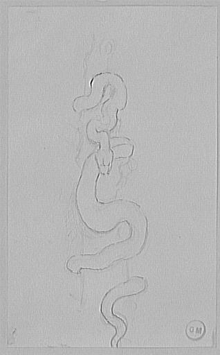 Étude de serpent enroulé autour d'un arbre_0