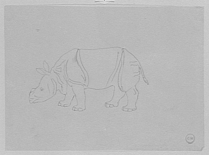 Étude de rhinocéros, d'après le Magasin Pittoresque_0