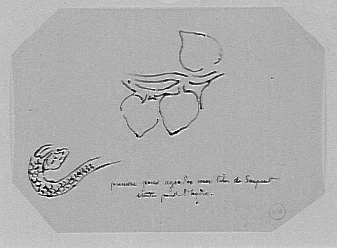 Études de serpent et d'un feuillage à trois feuilles de lotus_0