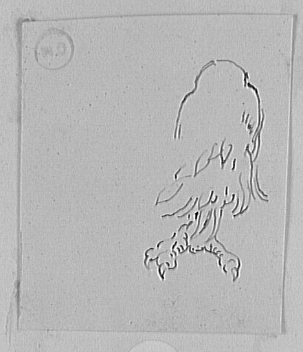 Étude de patte de rapace_0
