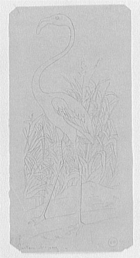 Étude de flamant_0