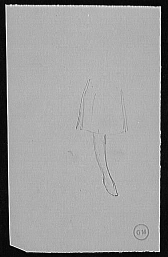 Etude de jupe courte et de jambe droite_0
