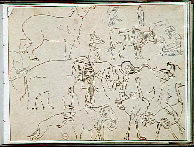 Carnet d'études orientales. Feuille d'études d'animaux divers_0