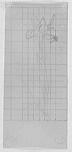 Étude d'iris_0