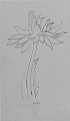 Étude de fleur aquatique pour Les Filles de Thespius et Rêve d'Orient_0