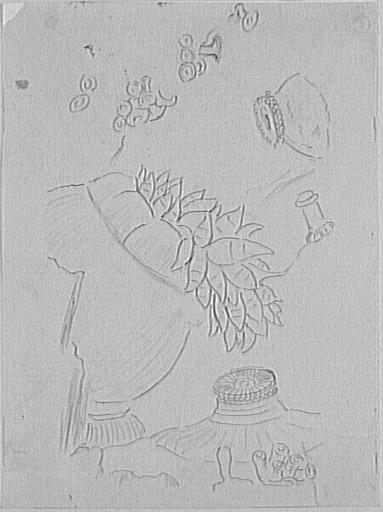 Feuille d'études de coraux_0