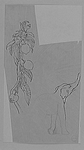 Études d'une branche d'arbre fruitier et d'un éléphant_0
