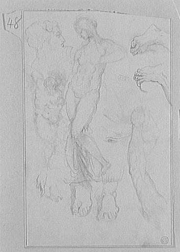 Feuille d'études : personnages et anatomies_0