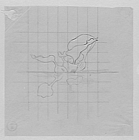 Étude de fleurs aquatiques_0