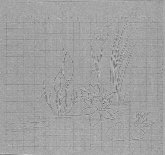 Étude de plantes aquatiques pour Les Filles de Thespius_0