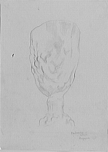 Étude de polypier_0